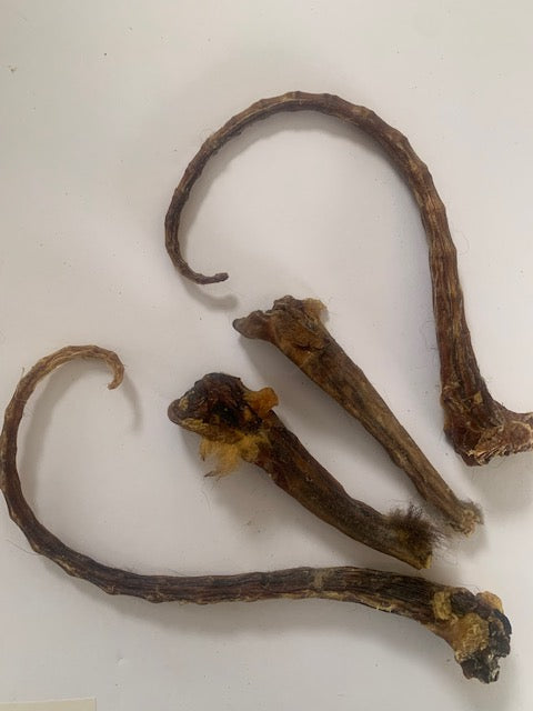 Possum Tails