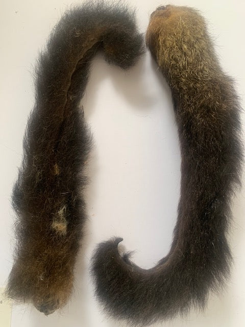 Possum Tails